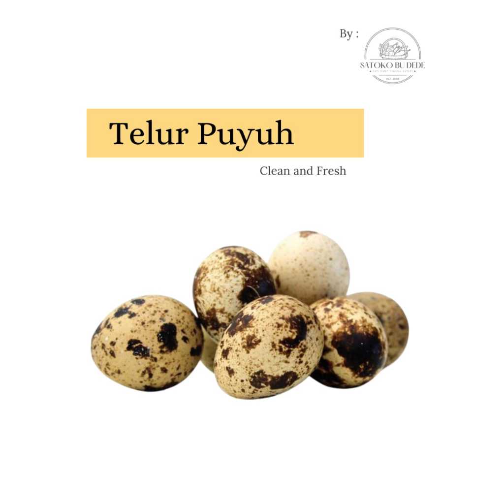 

Telur Puyuh