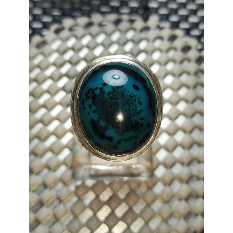 BACAN DOKO MAJIKO TOTOL DALMATION