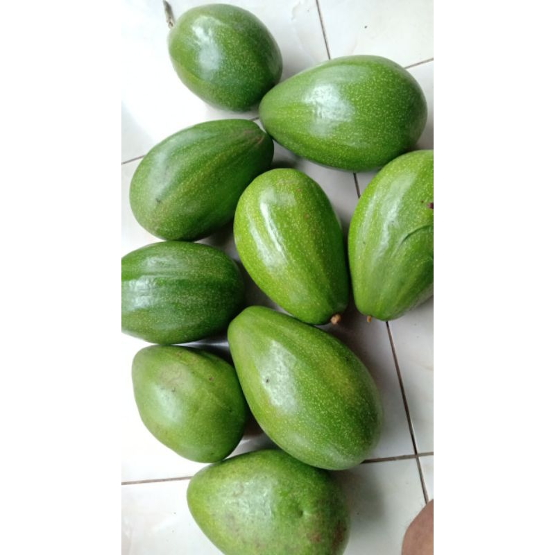 

alpukat mentega Muria 1 kg isi 3 4 manis pulen