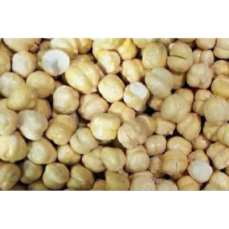 

kacang arab