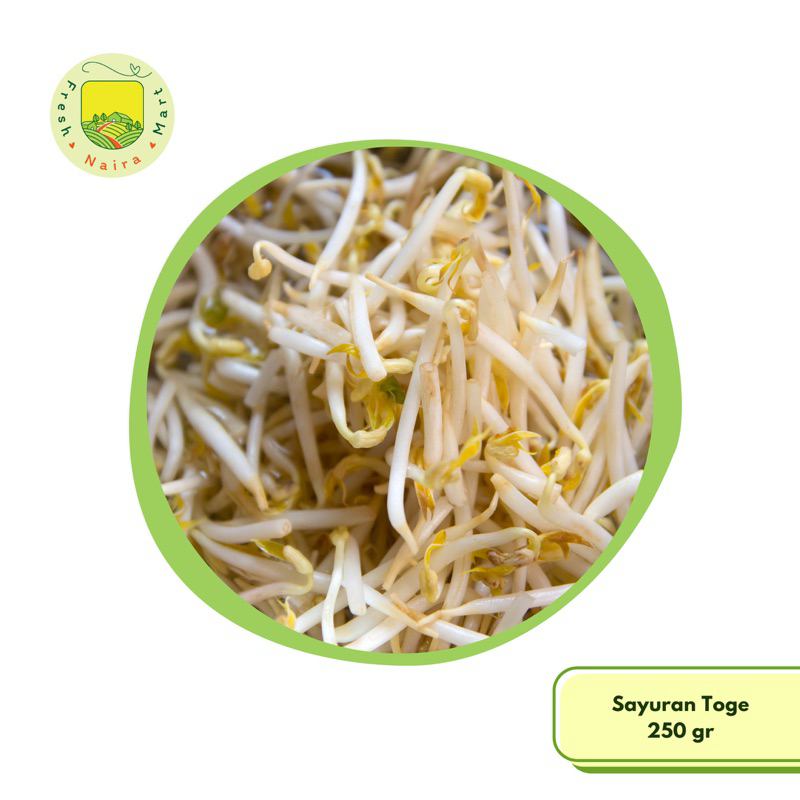 

Toge (sayur segar) 250 gr