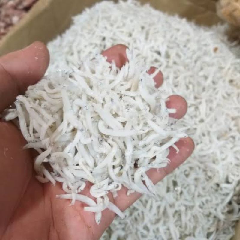 

Ikan teri medan putih kecil/ ikan medan teri putih kecil
