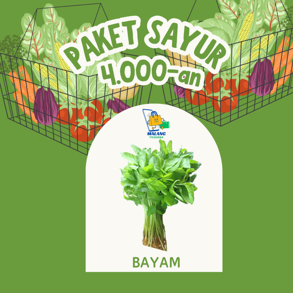 

[KIRIM INSTAN] BAYAM