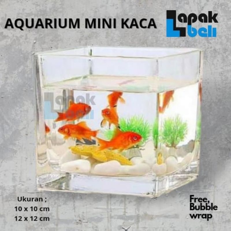 AQUARIUM MINI KACA PERSEGI / AKUARIUM KACA / AQUARIUM IKAN HIAS CUPANG GUPPY / VASQUARIUM KACA