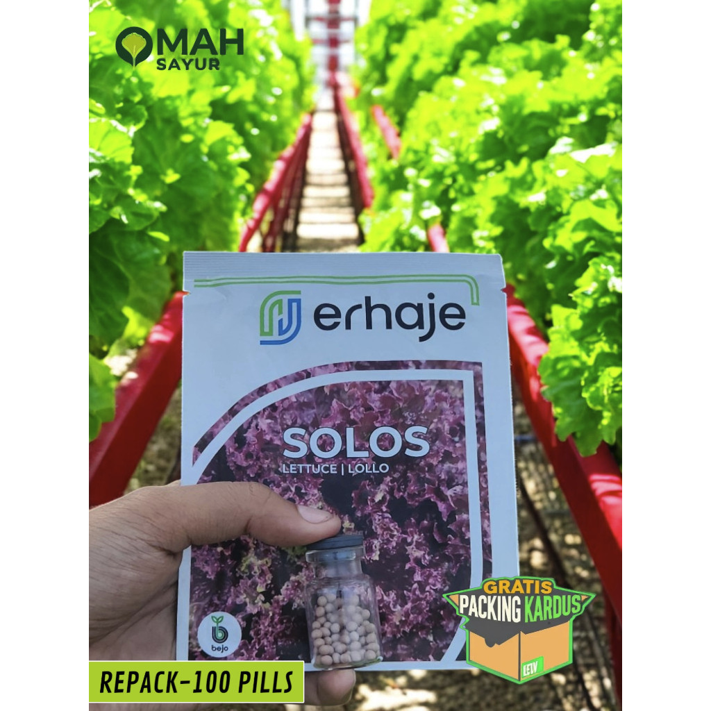 [REPACK-100 Pills] Benih Selada Bejo SOLOS Red Lollo By Bejo Seeds