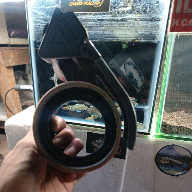 Lakban andrao gondrong