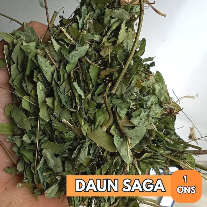 

100 gram Daun Saga Kering / Daun Saga Manis Kering