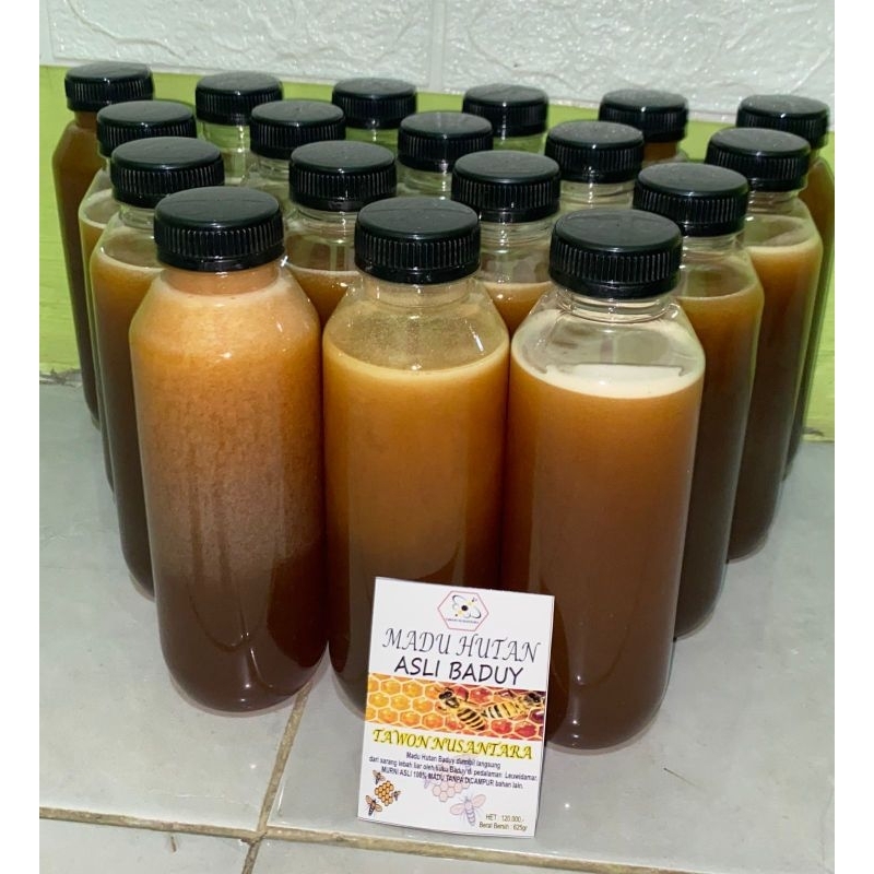 

Madu Alami dari Kampung Baduy Dalam. Panen di hutan baduy