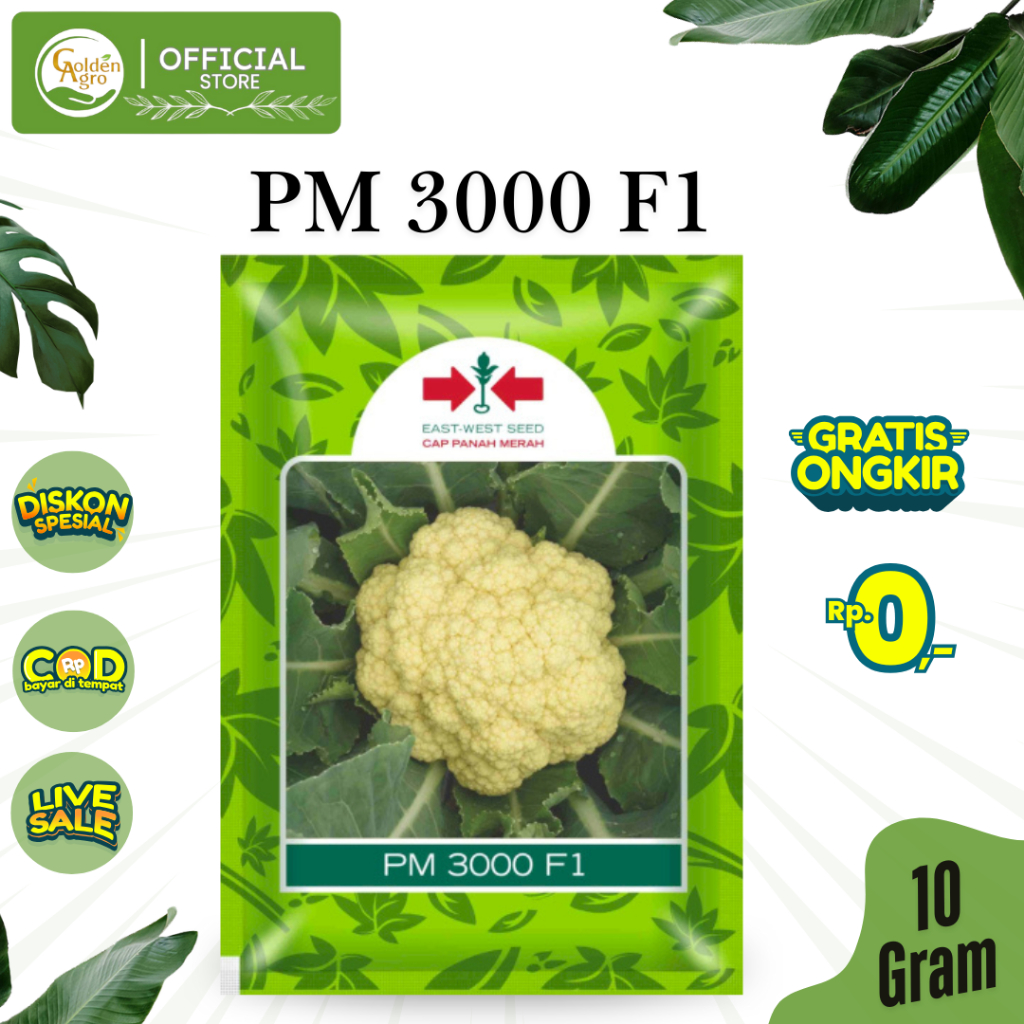 BENIH BIBIT PM3000 F1 10 Gram BENIH KEMBANG KOL CAP PANAH MERAH