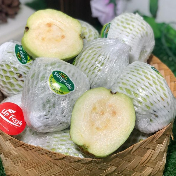 Jambu Kristal Sunpride