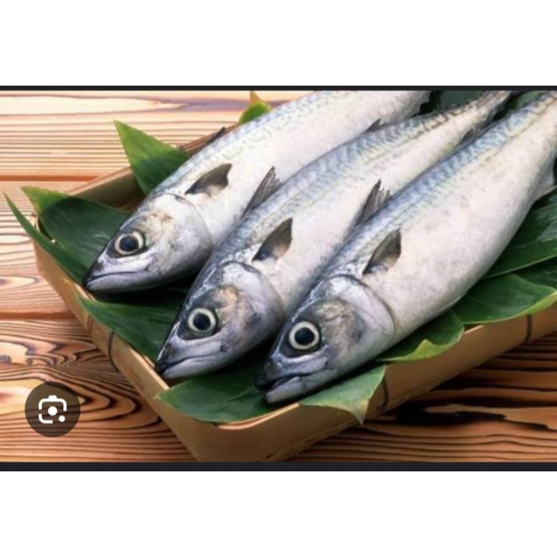 

ikan salem 500gram