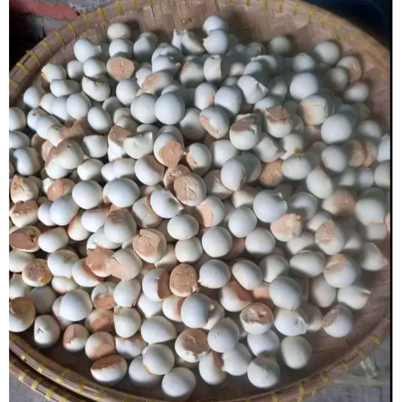 

Nopia Terenak seBanyumas 500g