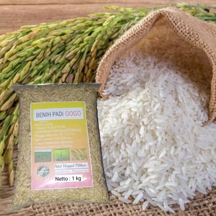 

Gabah Padi Gogo Beras Putih 1 kg