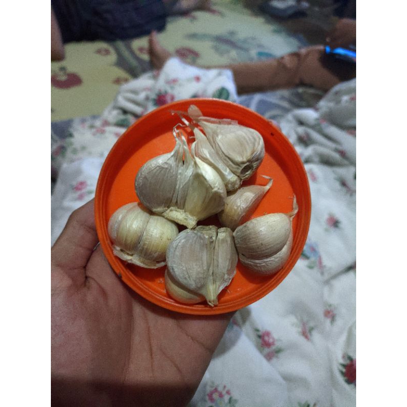 

bawang putih kating