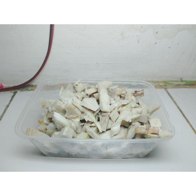 

ready cod mandai nangka -+400 gram kalimantan