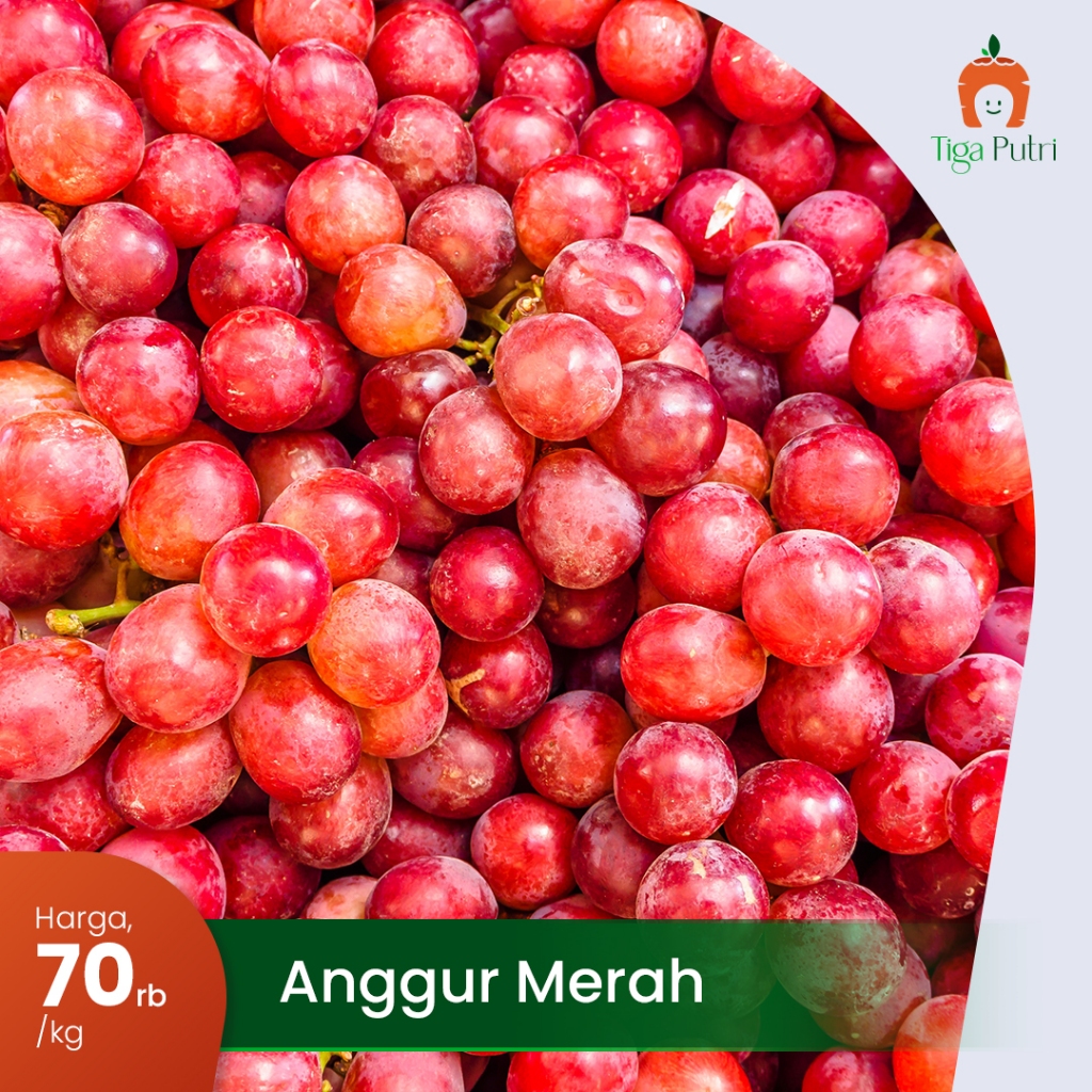 BUAH ANGGUR SEGAR FRESH 1KG