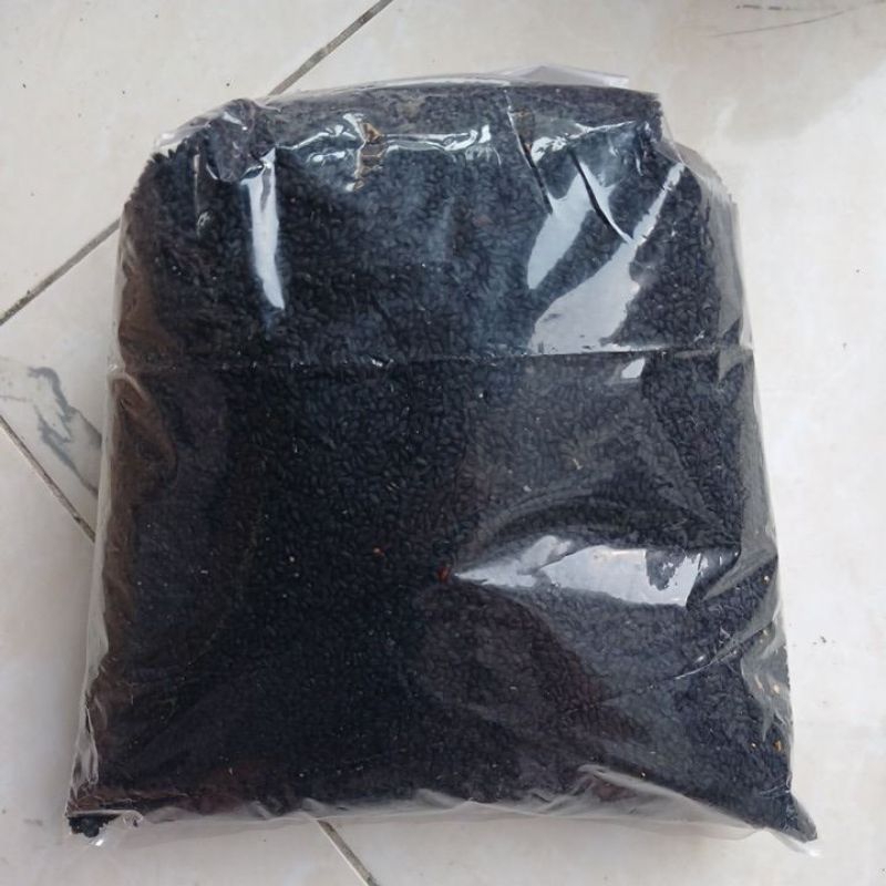 

Jintan Hitam Habbatussauda