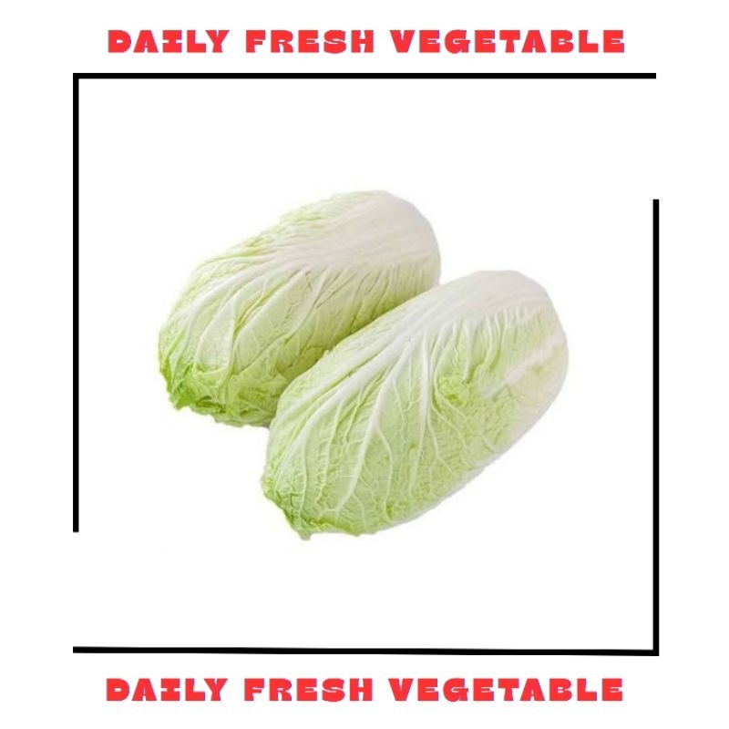 

Sawi Putih Fresh 500gr