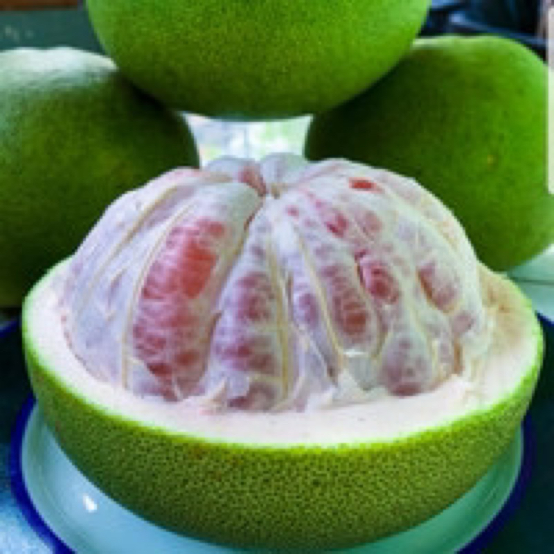 

(1,2–1,5KG)JERUK PAMELO MADU LERENG MURIA MANIS (Beli 1 gratis 1)