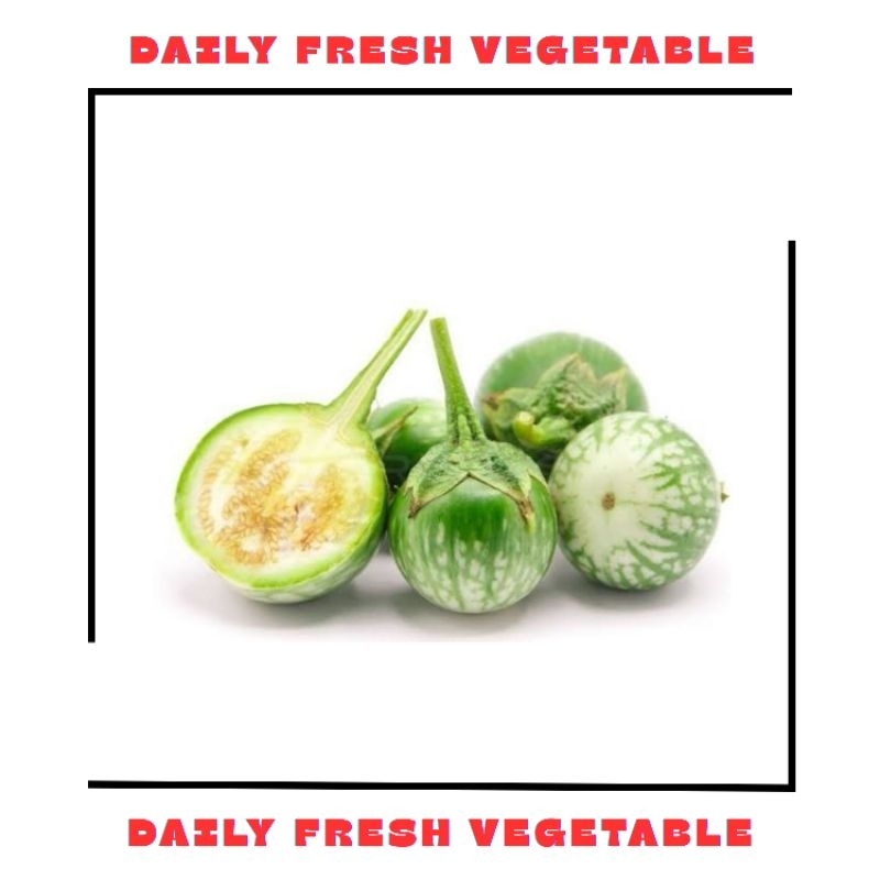 

Terong Lalap Bulat Fresh 250gr