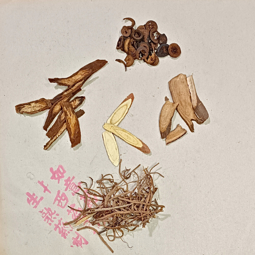 

Ramuan Herbal untuk Sperma Abnormal / Kelainan Sperma