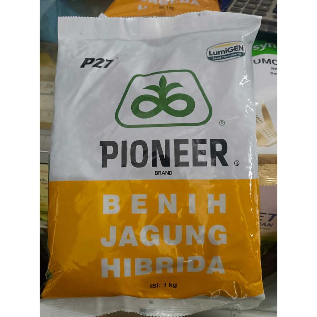 Benih Jagung Hibrida | P27 PIONEER = 1 KG