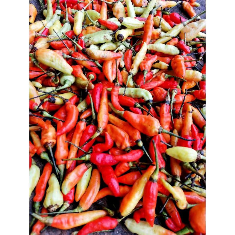 

cabe rawit/cengek merah 100gr
