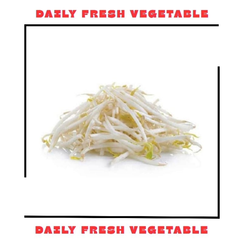 

Toge Fresh 250gr