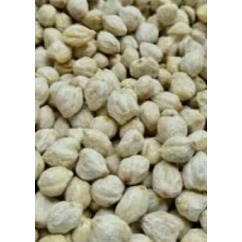 

kemiri utuh 1kg