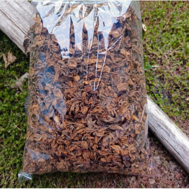 

BELI 2 GRATIS 8 GRAM Teh bunga Kamboja kering 500 gram