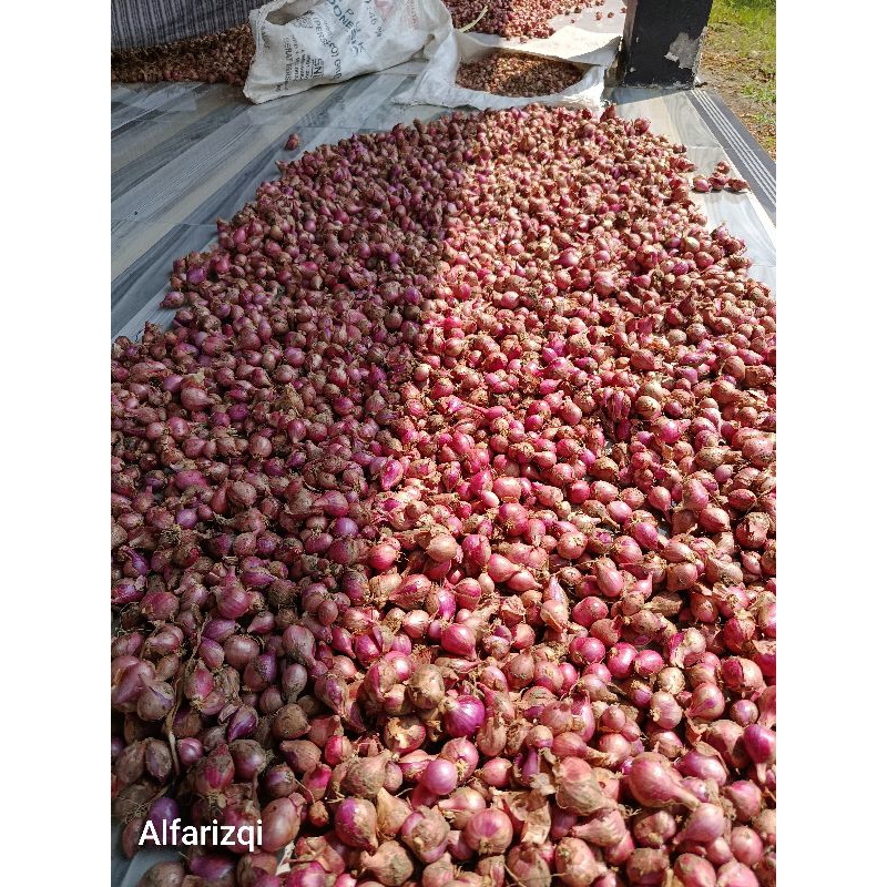 

BAWANG MERAH Besar campur MURAH 1kg