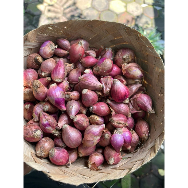 

BAWANG MERAH 500 GRAM MURAH BERKUALITAS