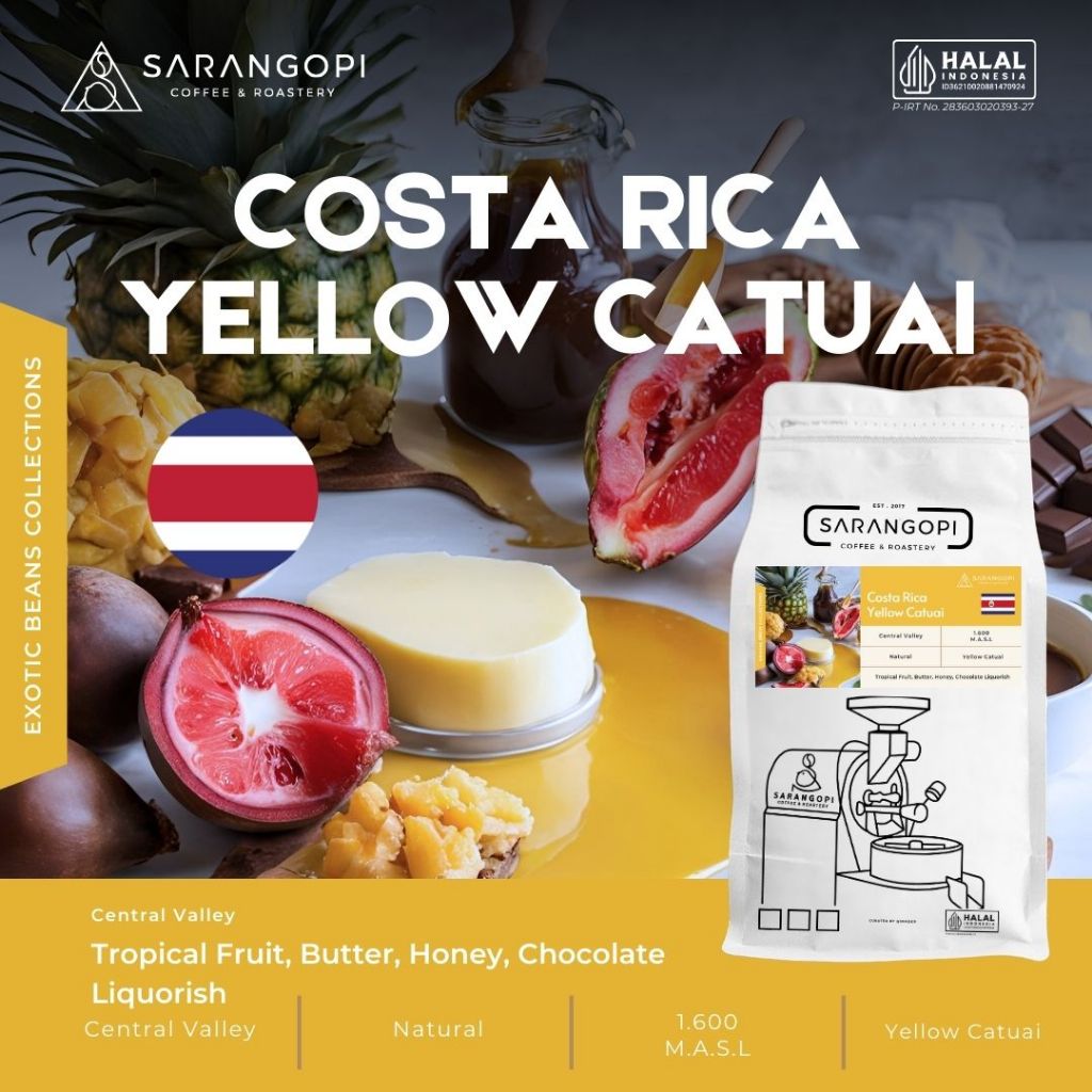 

Costa Rica Yellow Kopi Arabika - Sarangopi Roastery Speciality Beans V60 Coffee - 100% Arabica