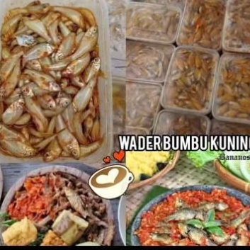 

ikan wader bumbu kuning 1 kg siap olah murah banget
