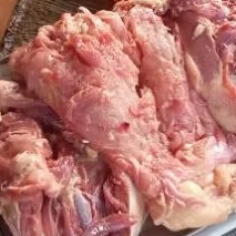 

fillet dada ayam kampung 1 kg murah banget