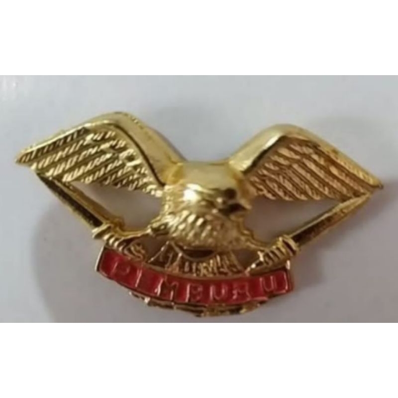 Brevet Wing Pemburu TNI AD Bahan Timah Cor