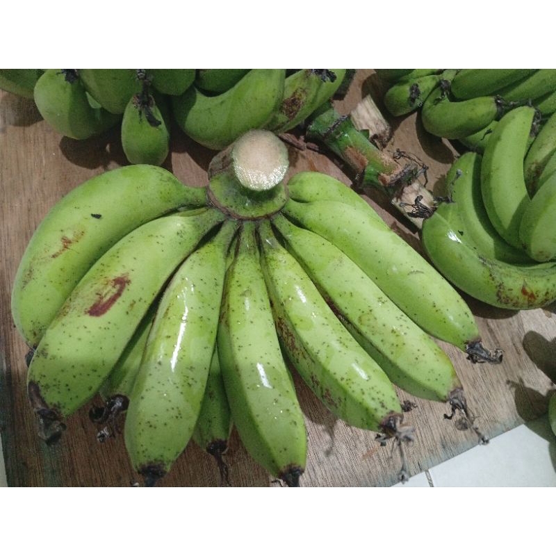 

Pisang Cavendish Lokal