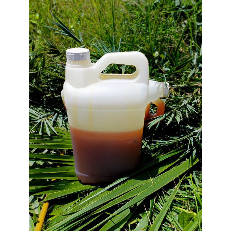 

madu lebah hutan borneo 5 liter 100%murni /apis dorsata/madu hutan liar
