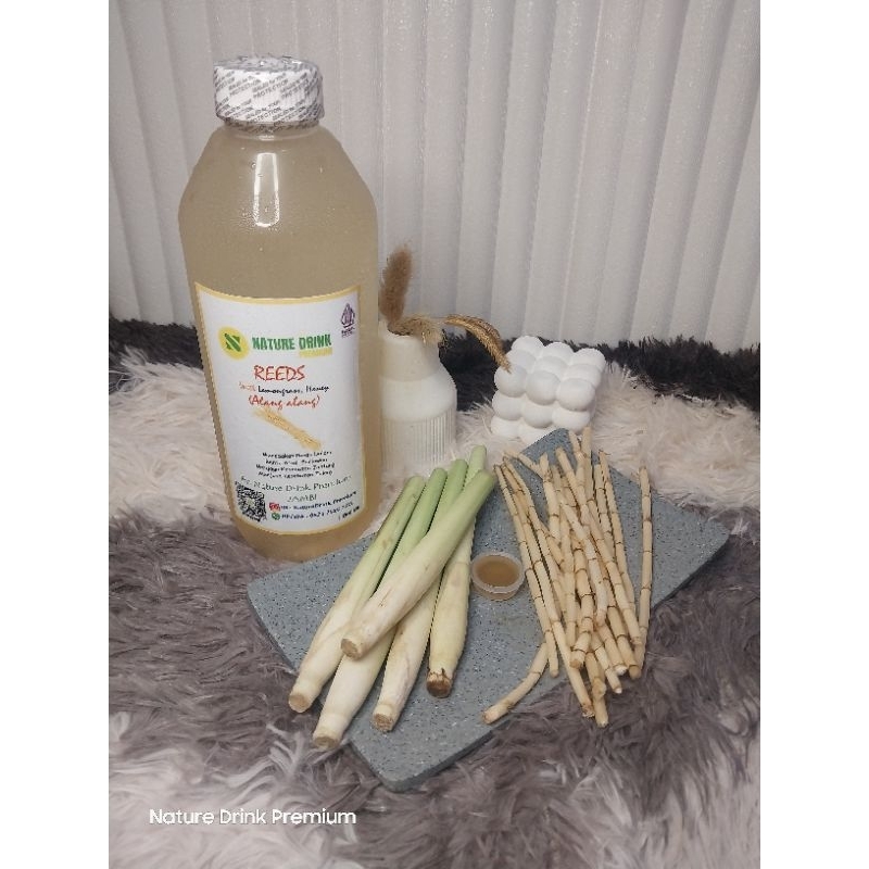 

REEDS ( Akar alang-alang)