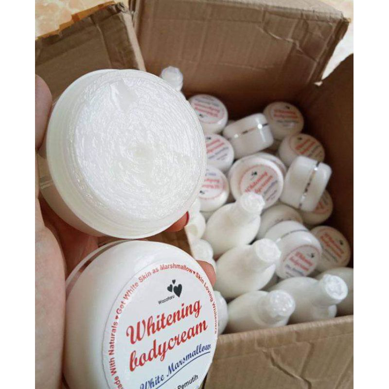 BIBIT PEMUTIH WAZATARU