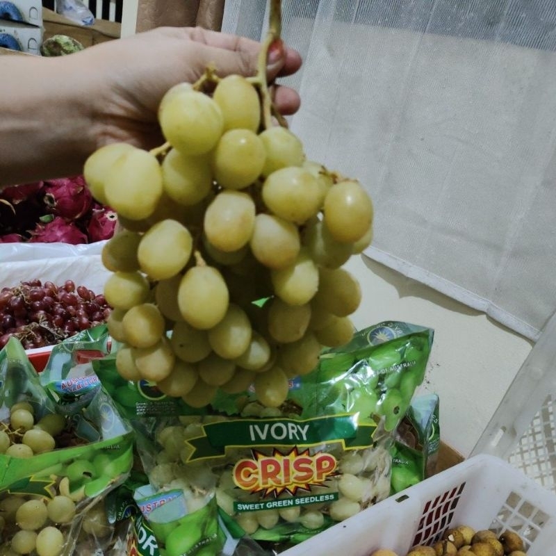 

anggur ivory crisp