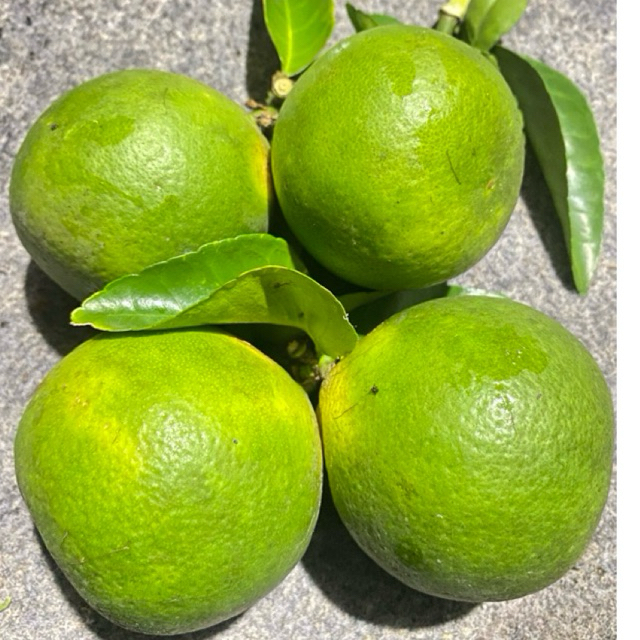 

1kg jeruk bali mini manis
