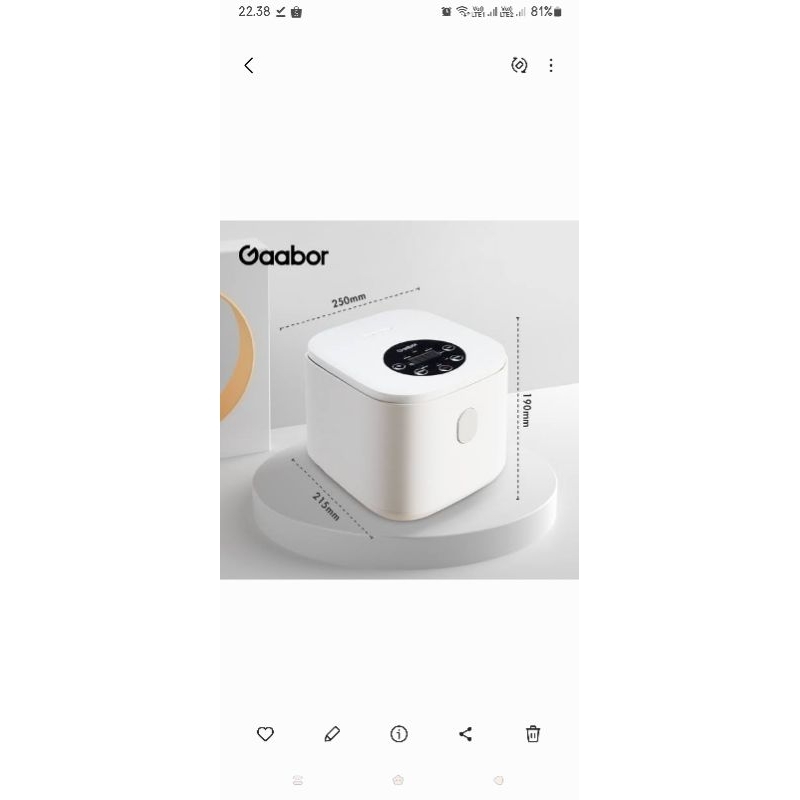 rice cooker gaboor 1L