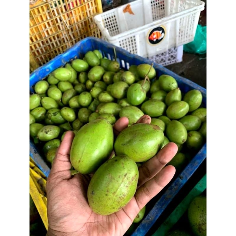 

kedondong fresh 1 kg isi 10