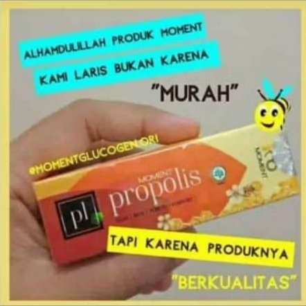 PROPOLIS Moment