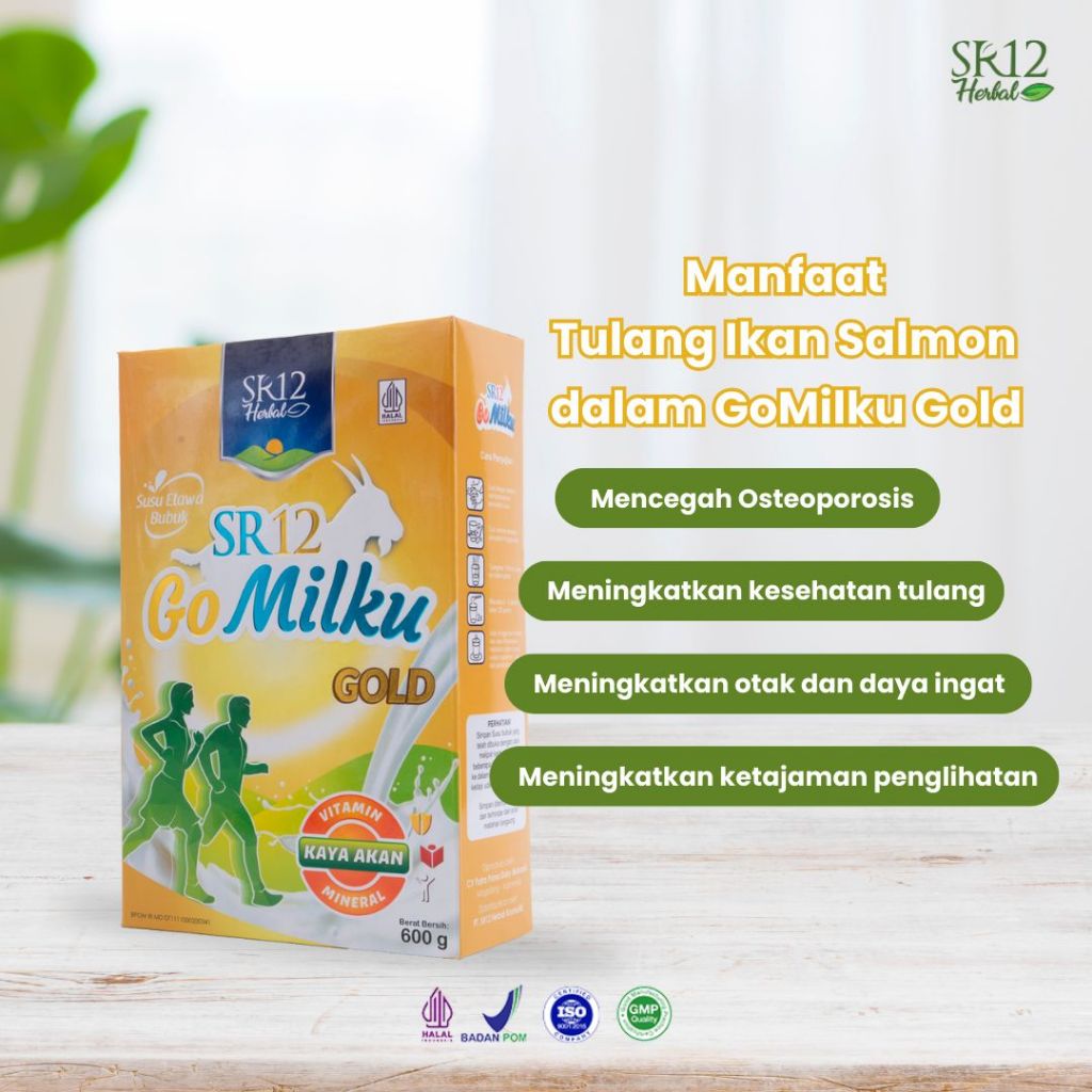 

Susu Go Milku Gold SR12 600gr Susu Kambing Etawa GOMILKU GOLD Membantu Mengurangi Nyeri Tulang dan Persendian ASLI HALAL BPOM