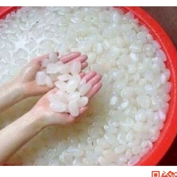 

Kolang kaling mentah segar satu 500 grm