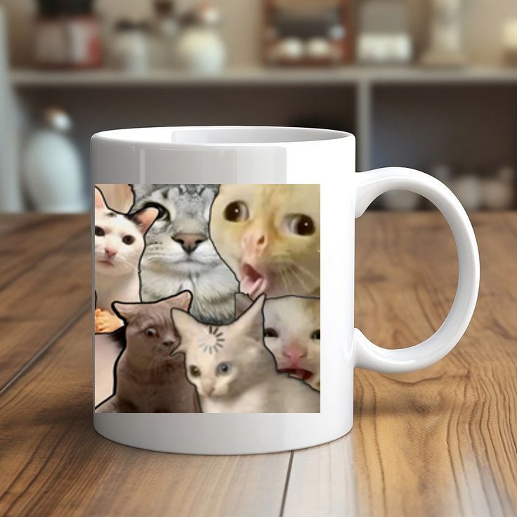 KUCING MEME
