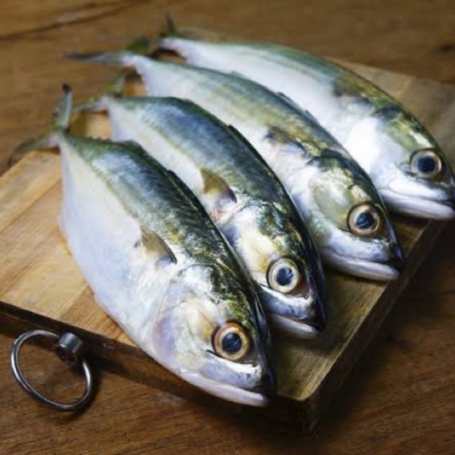 

Ikan kembung super 1kg halal