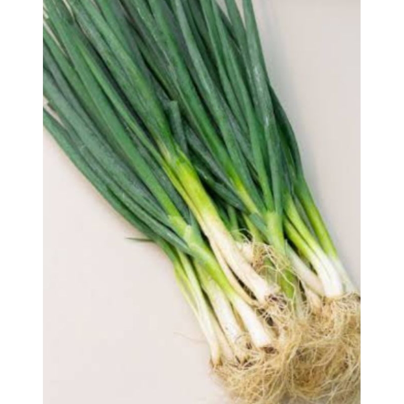 

daun bawang segar bagus fress 1kg